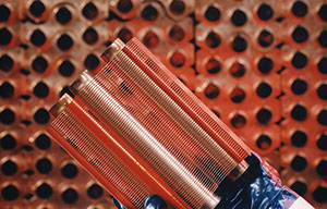 必赢亚洲·bwin(中国区)官方网站