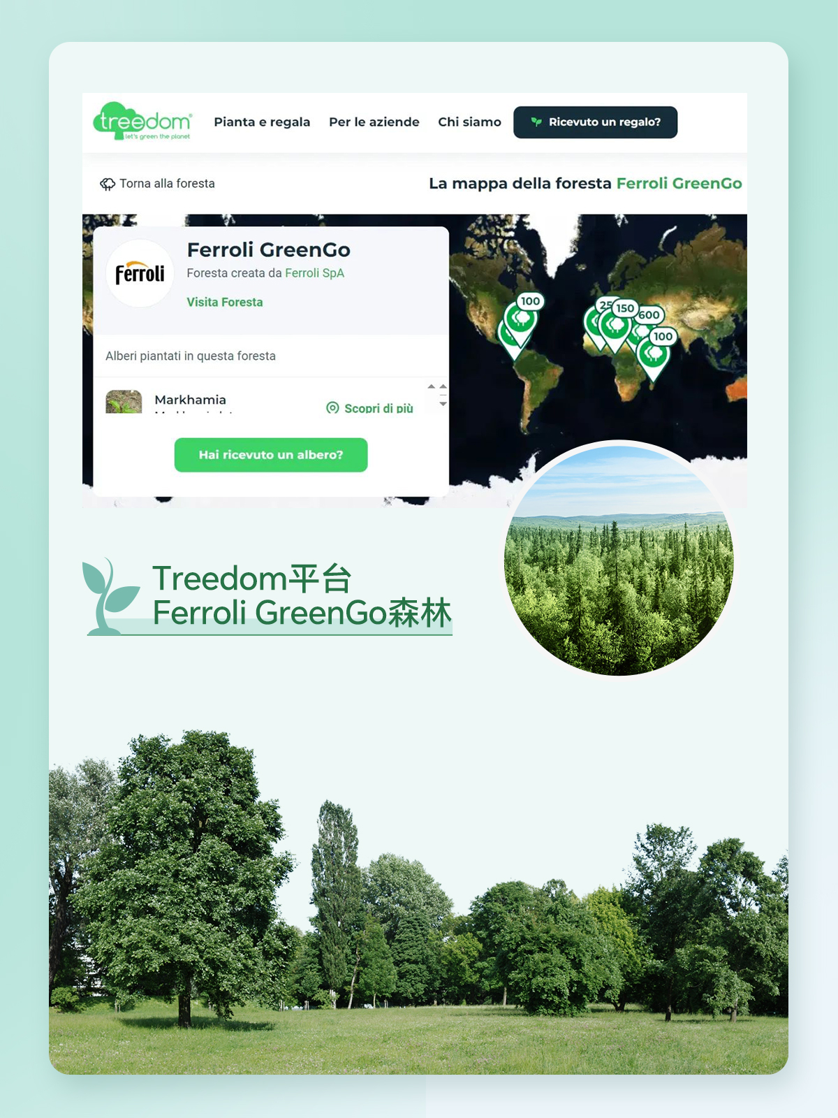 必赢亚洲·bwin(中国区)官方网站